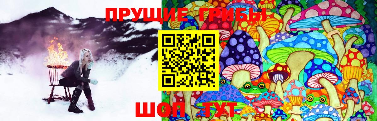 Тихорецк  Псилоцибиновые грибы Cubensis  Галлюциногенные грибы мухоморы  Вход с VPN 