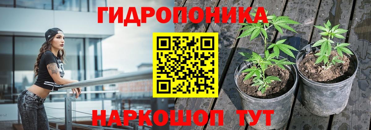 Тихорецк  ГАШИШ  NBOMe  МЕФ кристаллы  Канабис  Альфа ПВП СК   Вход с VPN  ТГК  Героин  LSD-25 